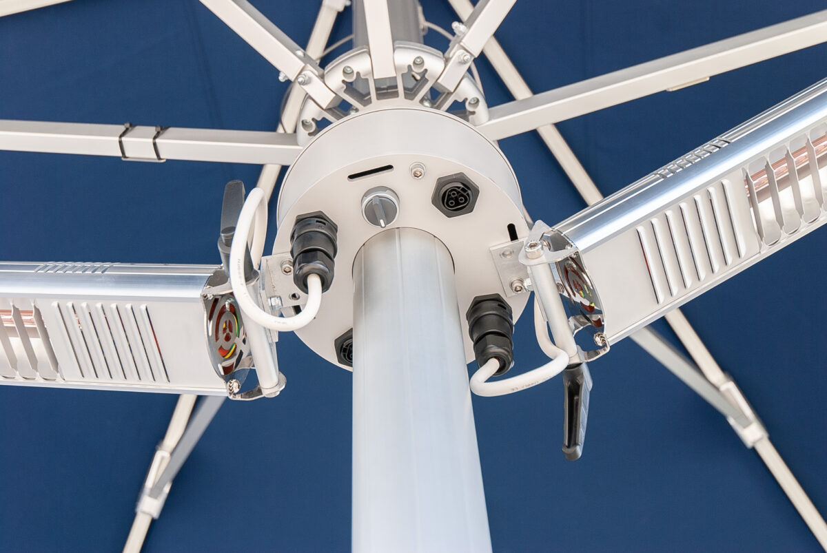 Zentralrosette Nahaufnahme